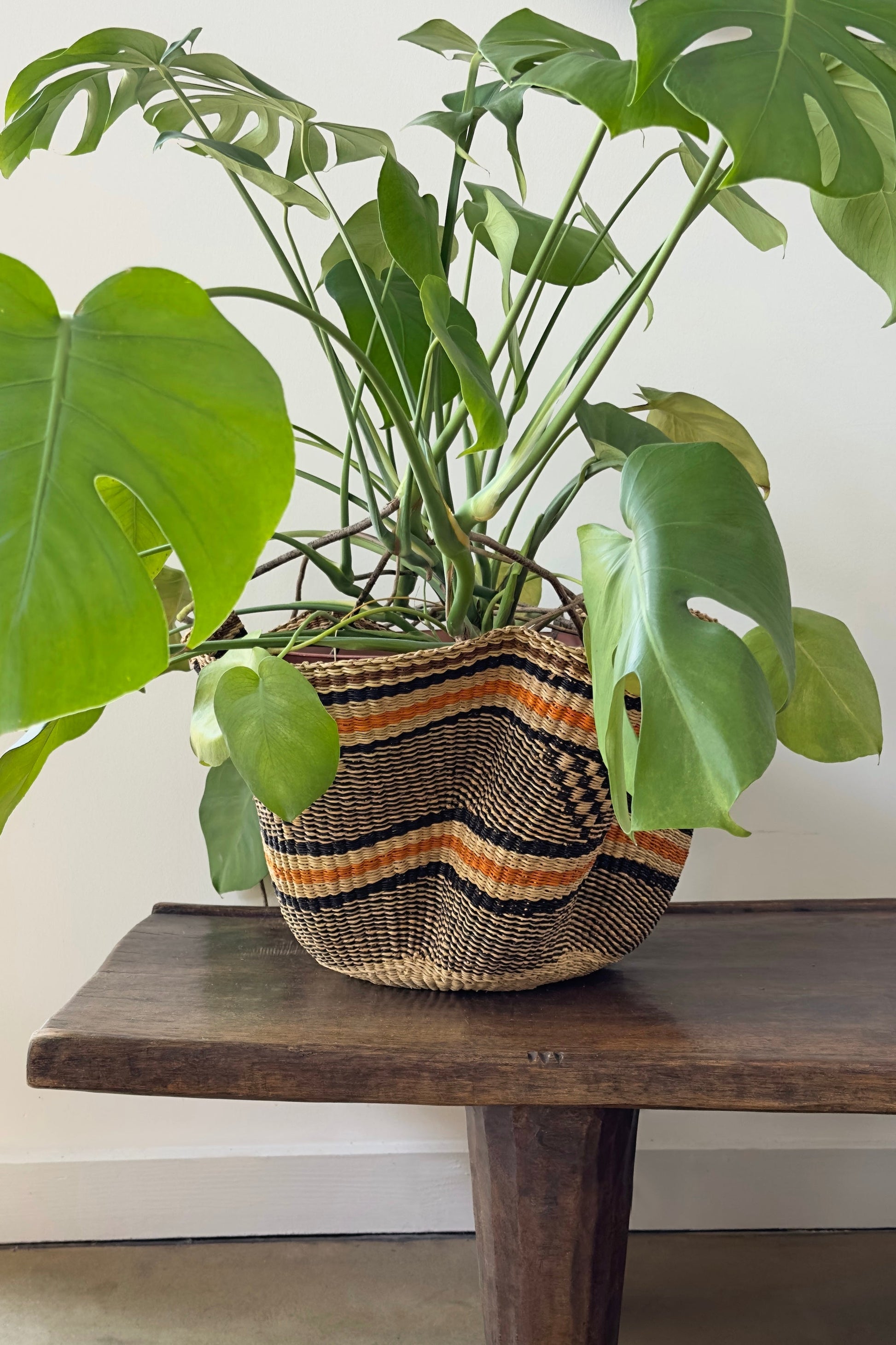 Handwoven Wave Basket - Earth Colors