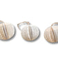 Book Ornament- Set of 3
