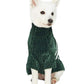 FESTIVE STRIPED SWEATER by Blueberry Pet
