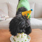 PAWTY HAT - Green number