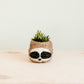 Three-tone Sloth Coco Coir Planter