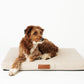Ecru | Modern Dog Bed or Bed Cover
