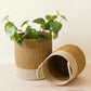 S/2 Mustard Baskets with Handle