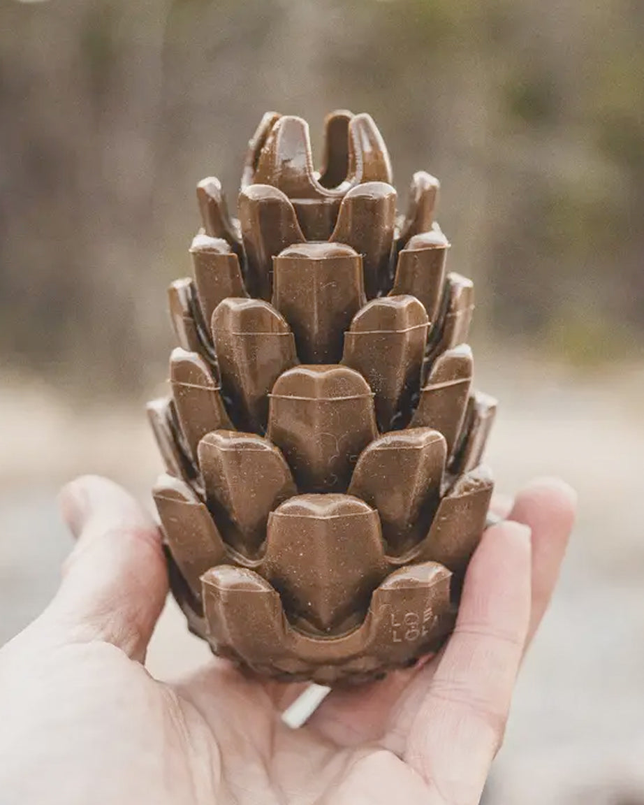 PINECONE PUZZLE TOY by Loblola