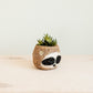 Three-tone Sloth Coco Coir Planter