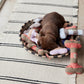 Ashi Dog Toy Large - Cherry Red/Taupe