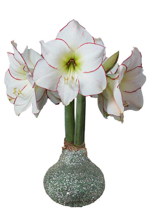 Picasso St. Patrick's Day Glitter Lamp With 18 Bulbs