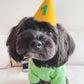 PAWTY HAT - Green number