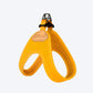 BUCKLE UP EASY HARNESS by Charlie's Backyard
