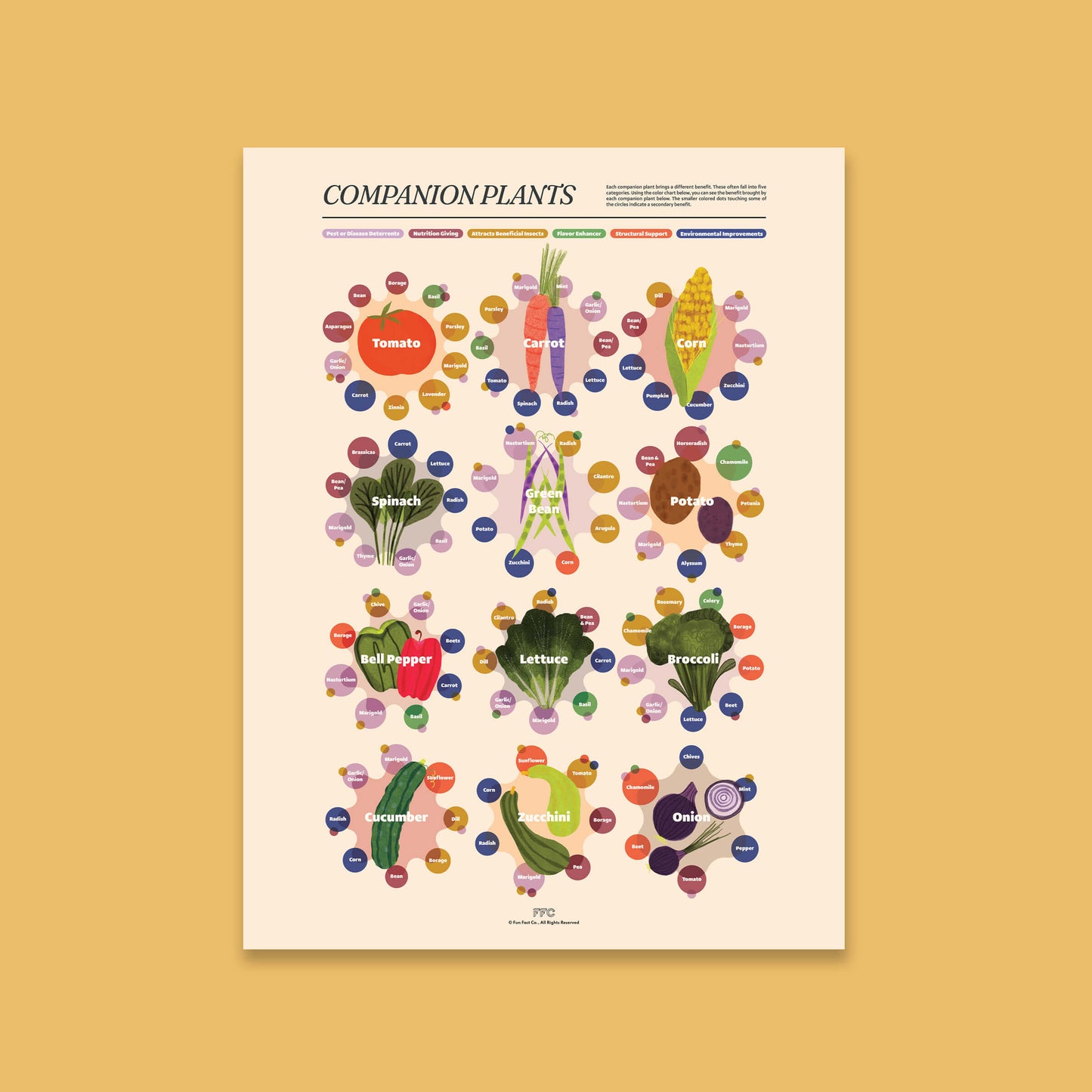 Companion Plants Giclée Print