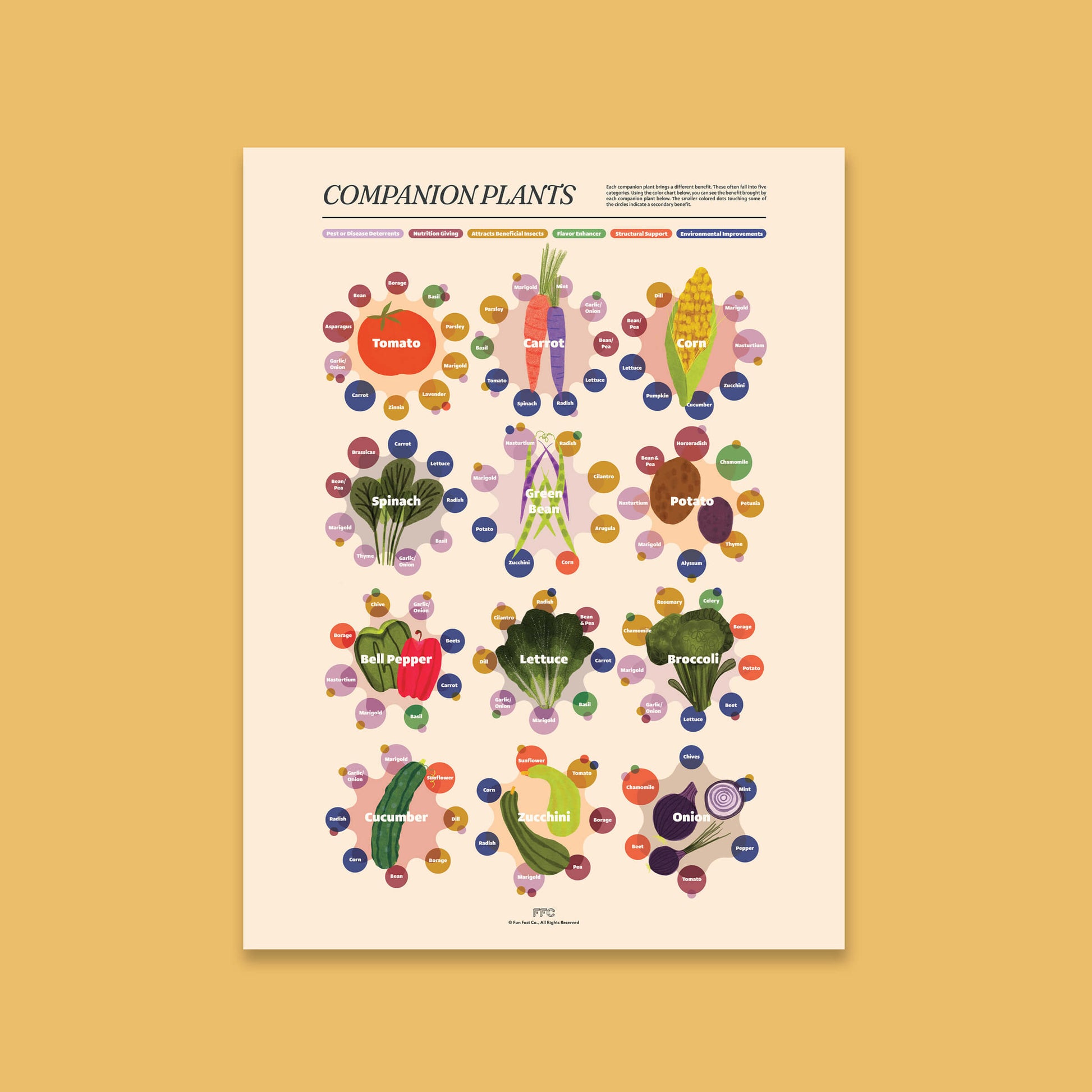 Companion Plants Giclée Print