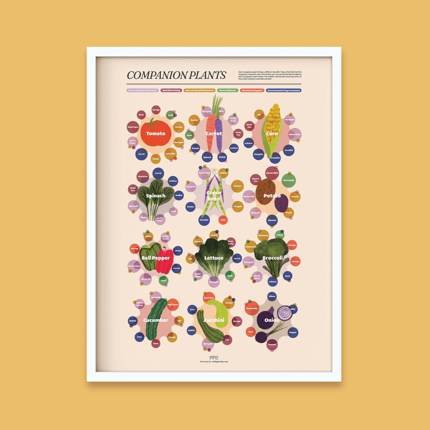 Companion Plants Giclée Print