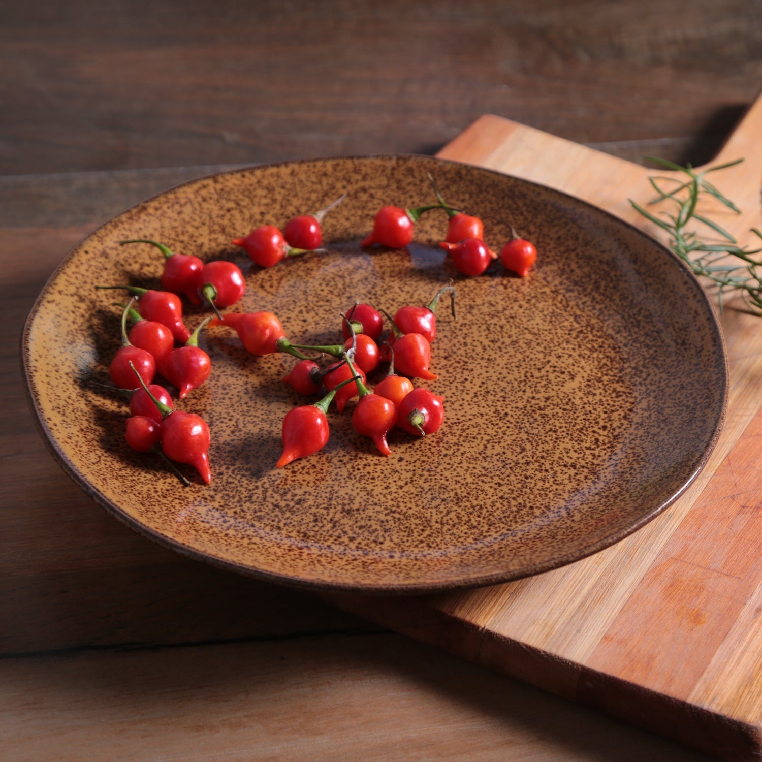 Dinner Plate Set of 6
