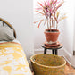 Bright Day Laundry Basket