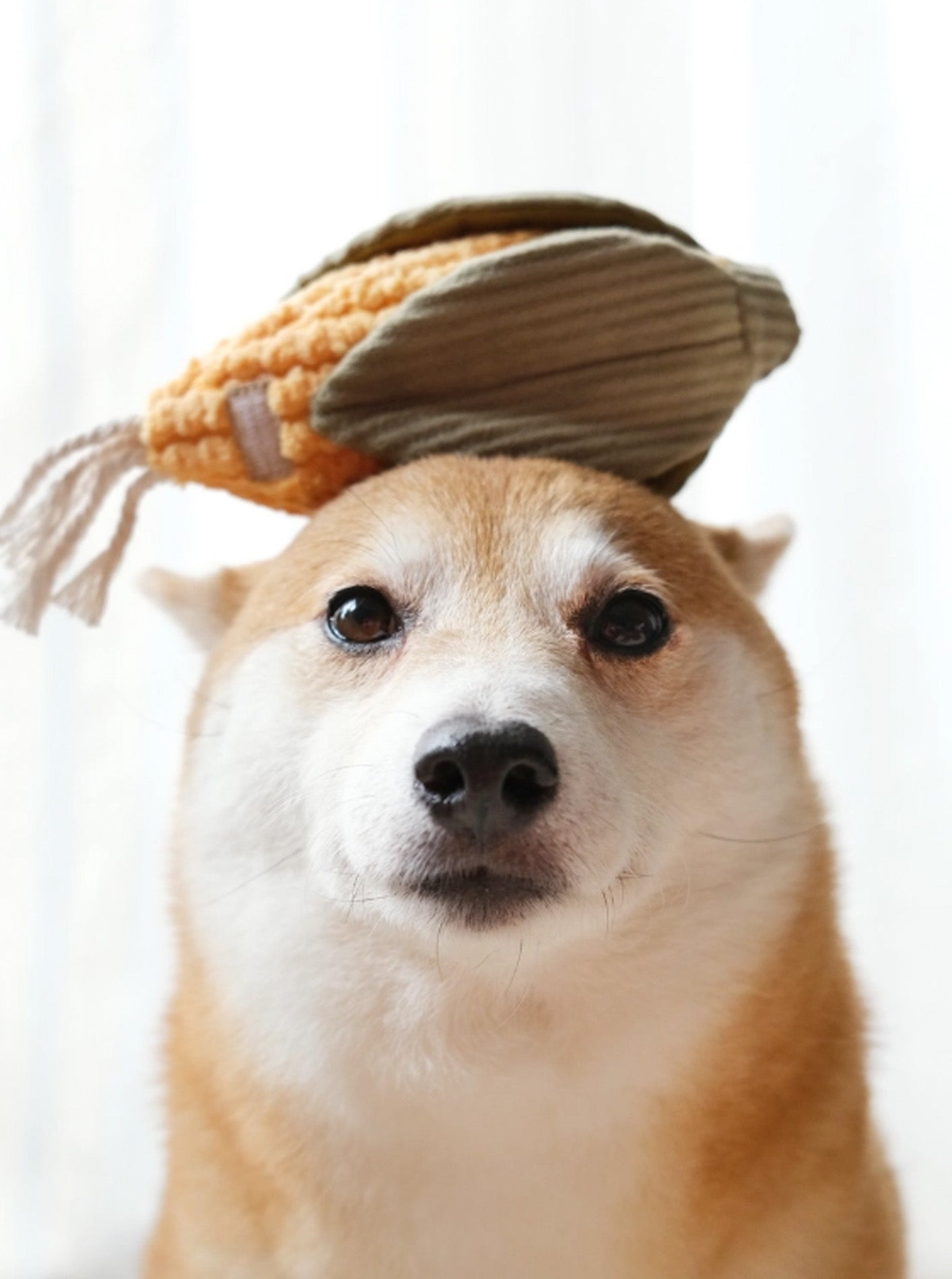 CORN ENRICHMENT DOG TOY