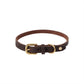 Robin Dog Collar Medium - Choko