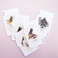 DOG + CAT PLAYING CARDS