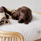 Kaya Dog Blanket Black - Large