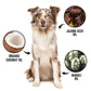 DOGDAYS De-Shedding Shampoo — Deep Moisturizing Deshedding Formula for Dogs