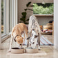 Sia Dog Bowl Rose - Large