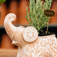 Trumpeting Elephant Planter