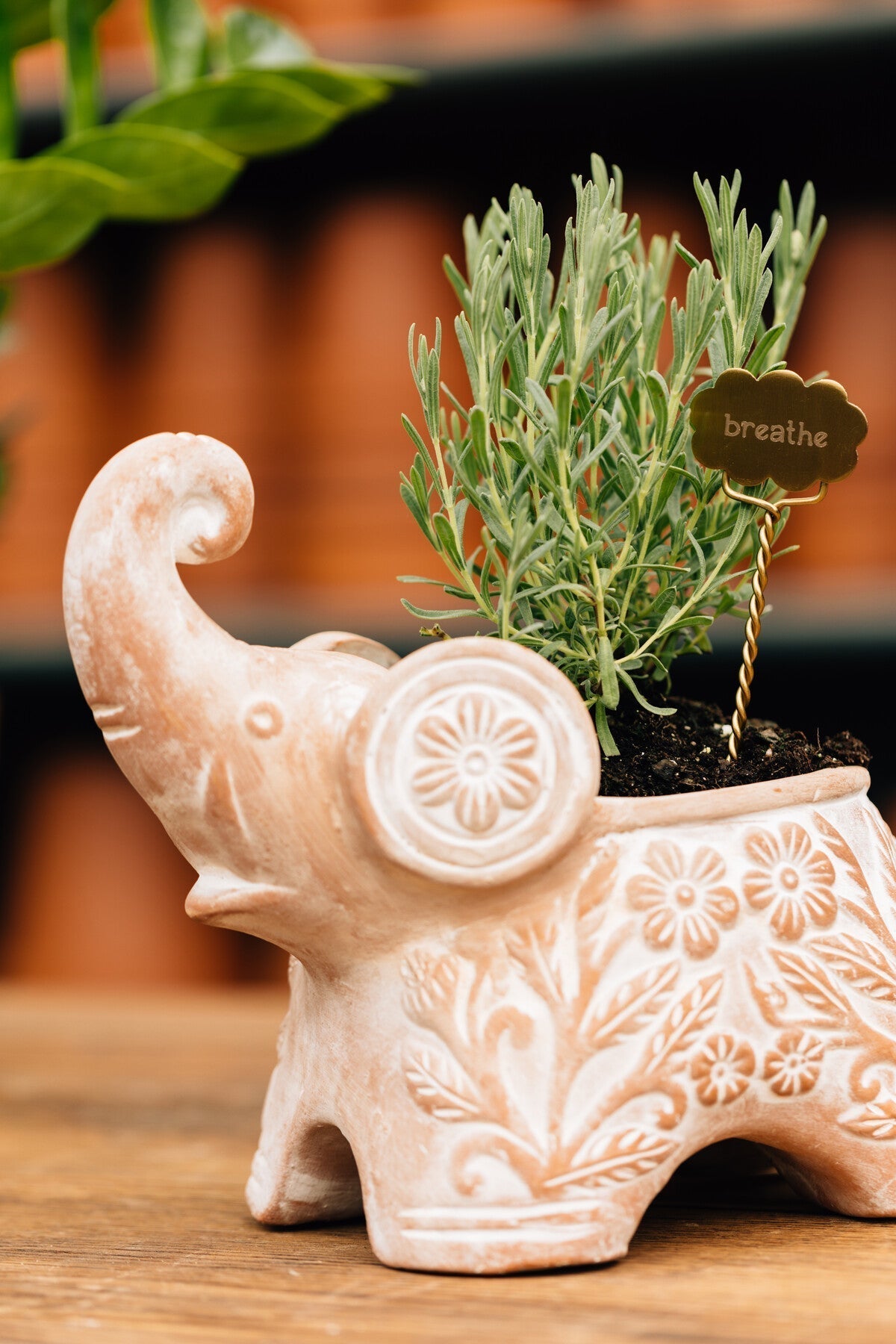 Trumpeting Elephant Planter