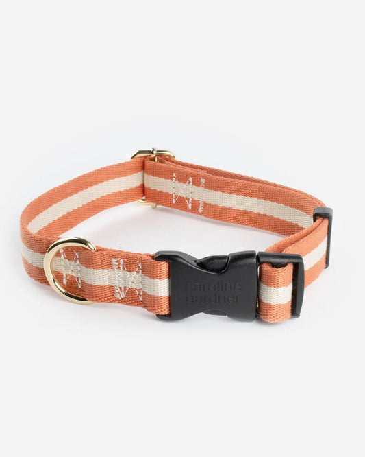 ORANGE CREAM DOG COLLAR by Caroline Gardner