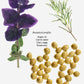 Nourishing Face Oil