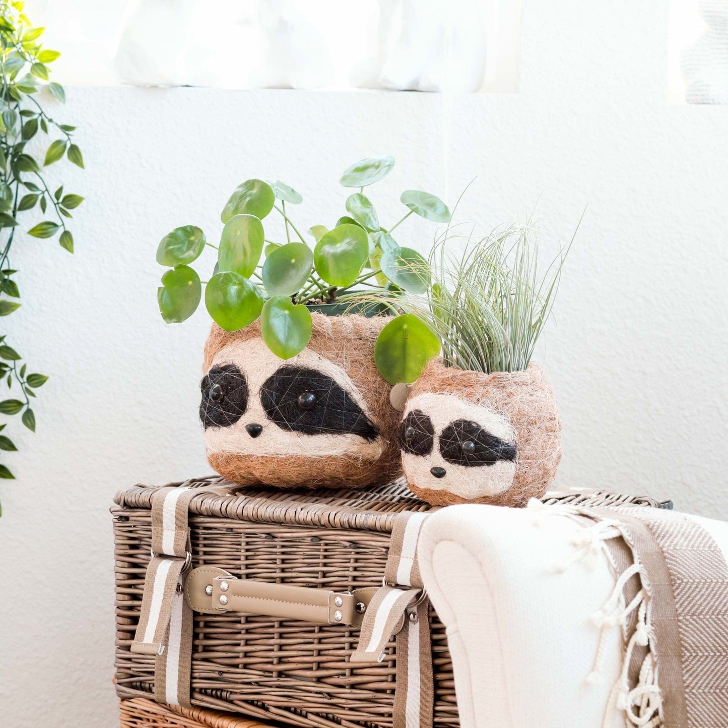 Large three-tone Sloth - Coco Coir Pots (6 inch) | LIKHÂ
