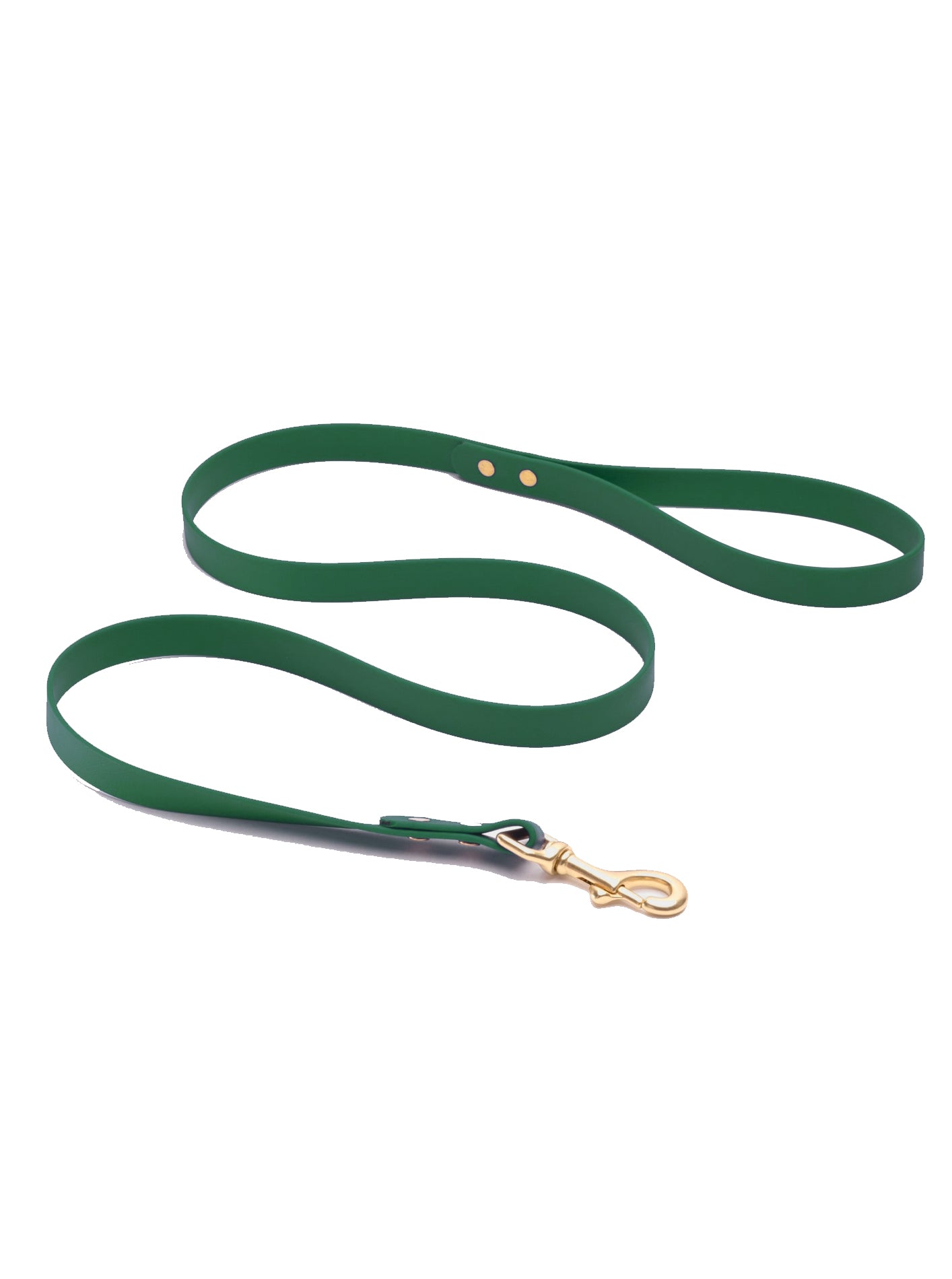 CLASSIC BRASS LEASH by High Tail Hikes