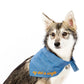 EMBROIDERED BANDANA