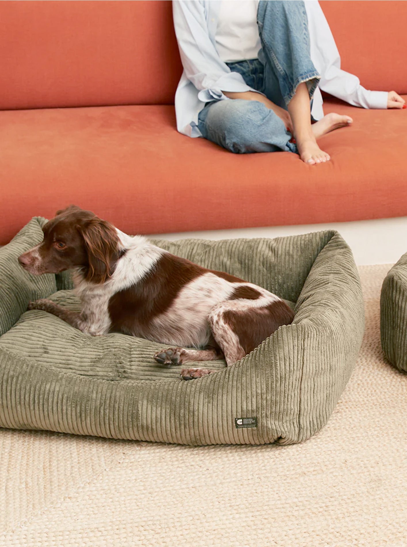 CORDUROY DOG BED - SNOZY