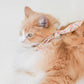 ADVENTURE NECKTIE