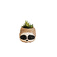 Three-tone Sloth Coco Coir Planter