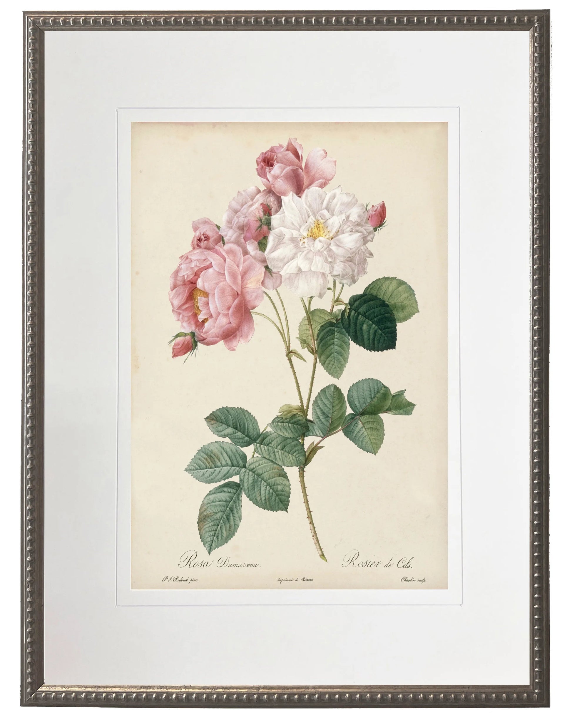 Vintage pink rose print matted in a cream mat in a beaded pewter frame sized 16x20