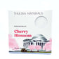 Cherry Blossom Shower Steamers - 4 Pack