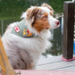 ADVENTURE BANDANA