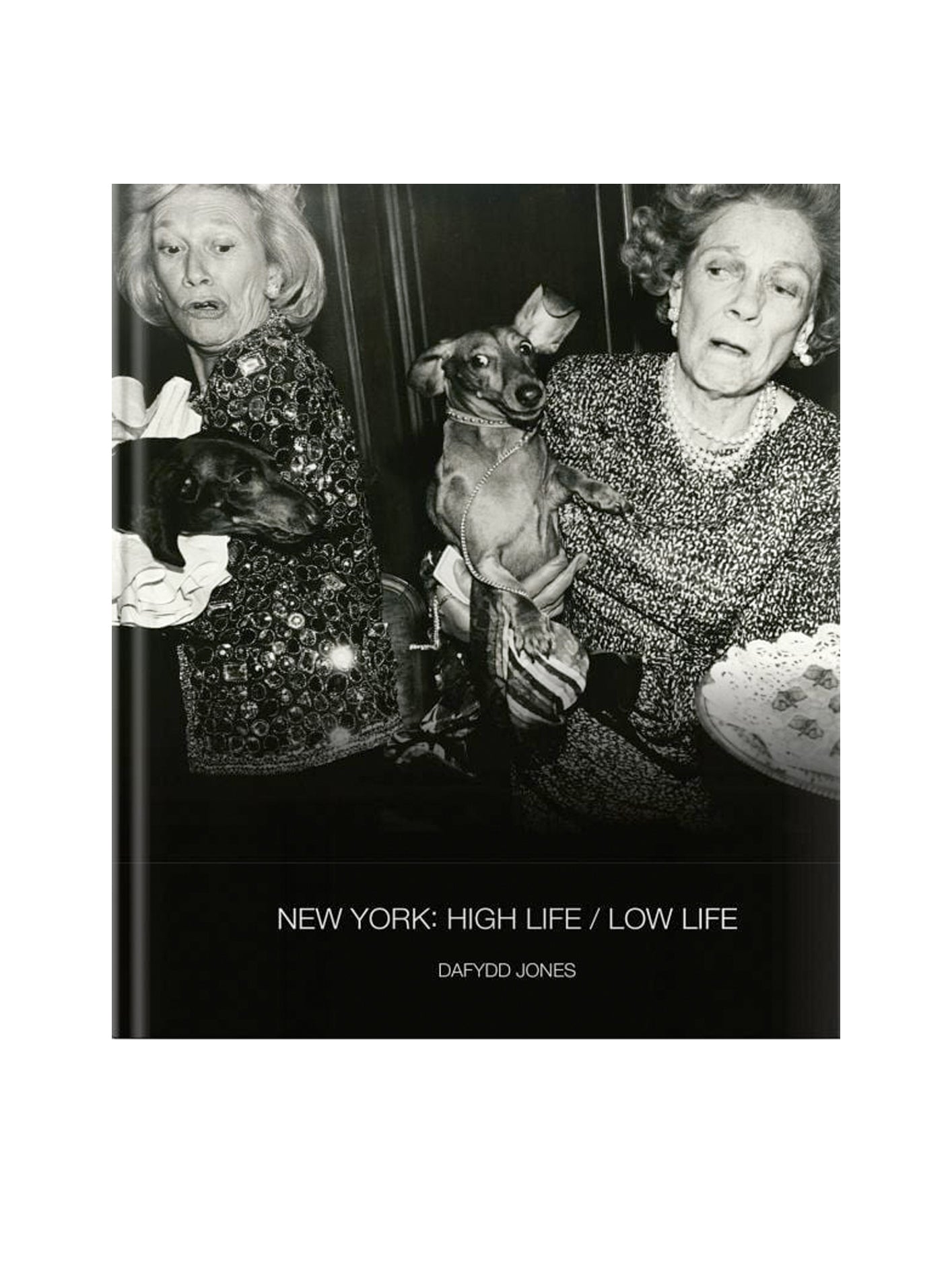 NEW YORK: HIGH LIFE LOW LIFE