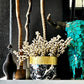 Bianco Nero Cache Pots