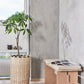 Asa Bench Cushion in Clay Melange