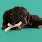 YOMP BARKIN' BONE