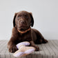 Ashi Dog Toy Large - Lavender/Amber