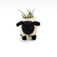 Baby Sheep Planter