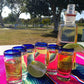 Cobalt Blue Rim Tequila Shot Glasses - Set of 6