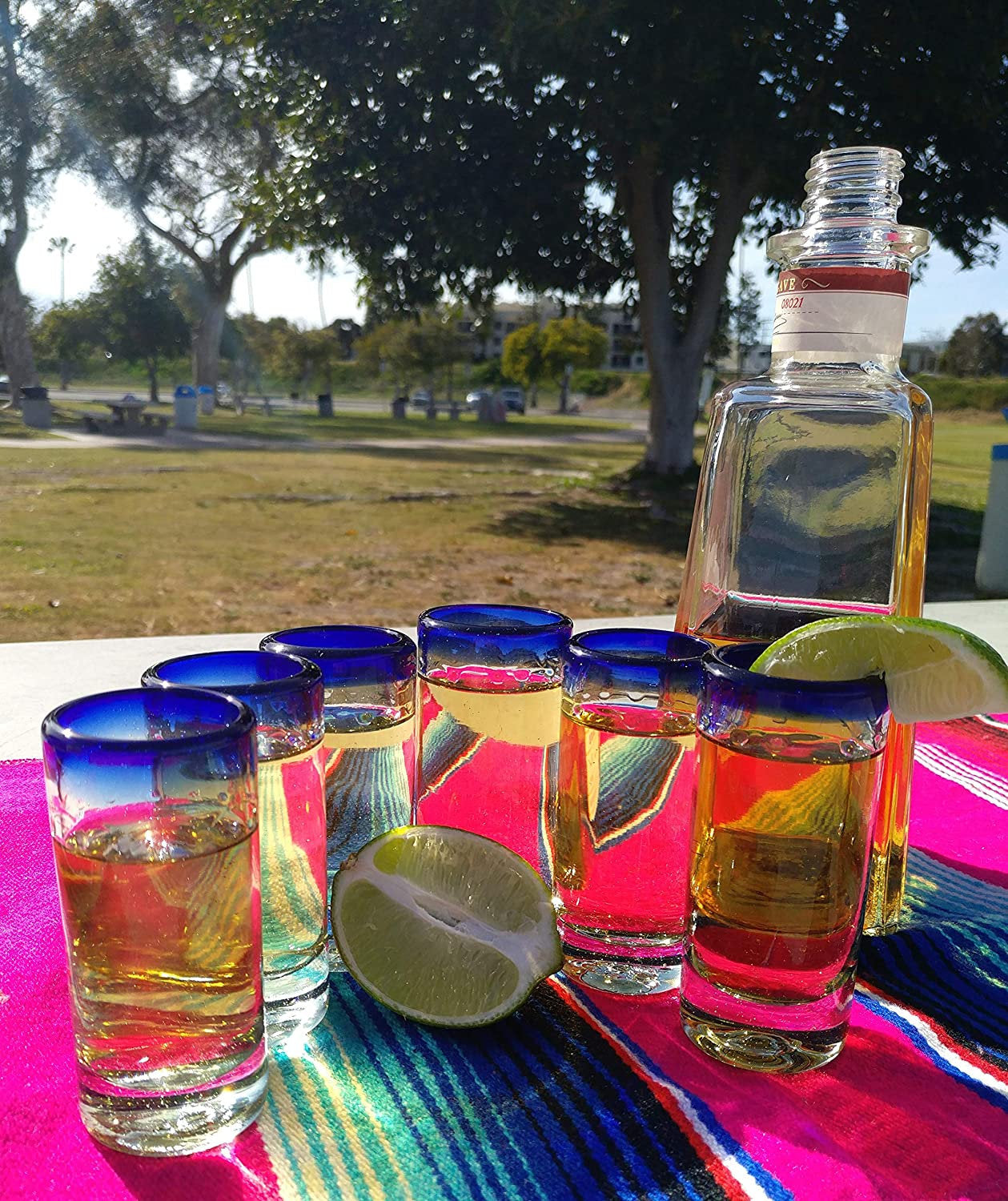 Cobalt Blue Rim Tequila Shot Glasses - Set of 6