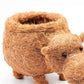 Hippo Planter - Coco Planter | LIKHÂ