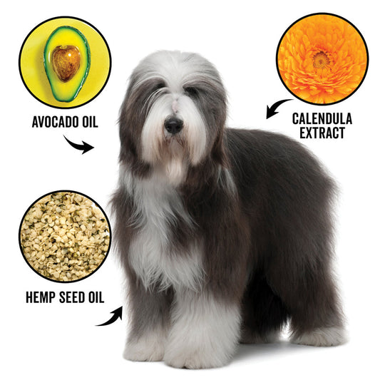 DOGDAYS Leave-In Detangling Spray — Hydrating, Frizz-Control Formula for All Coat Types