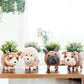 Poodle Planter - Coco Coir Pots | LIKHÂ