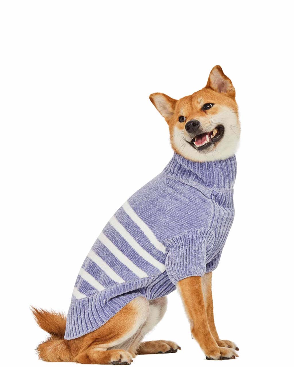 STRIPED SWEATER by Blueberry Pet