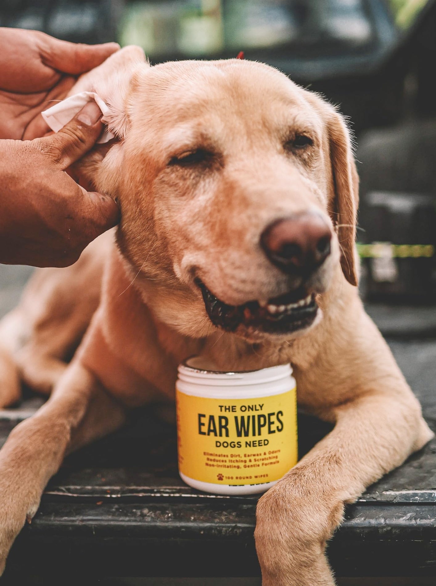 EAR WIPES